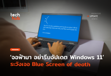 Windows 11