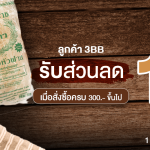 02_ร้านของฝากโคราช รวงข้าว99