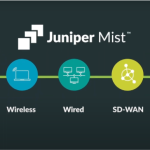 juniper
