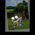 Highlight Galaxy S24 Series_6