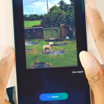 Highlight Galaxy S24 Series_7