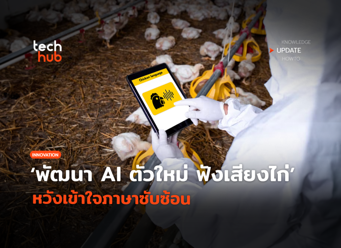 AI ฟังภาษาไก่