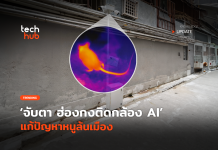 จับตา ฮ่องกงติดกล้อง AI แก้ปัญหาหนูล้นเมือง