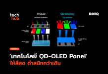 QD-OLED Panel