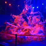 P_20240316_154228