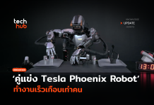Phoenix Robot