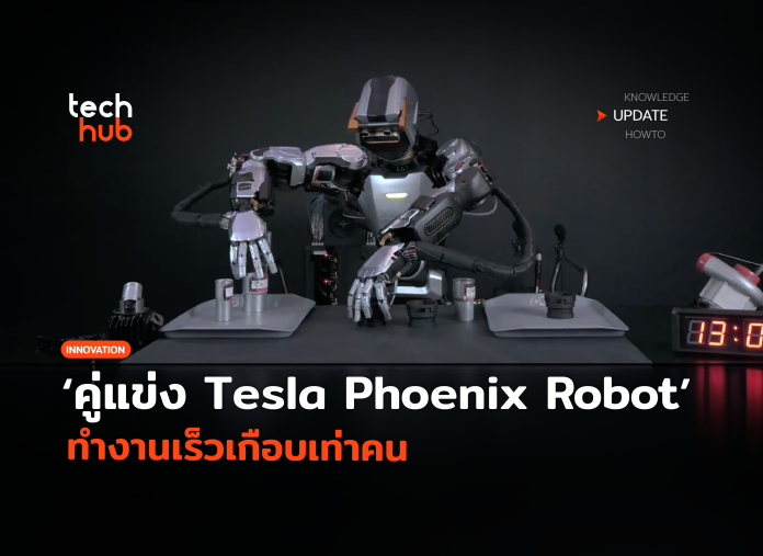 Phoenix Robot