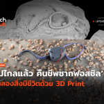 ไปไกลแล้ว คืนชีพซากฟอสซิล จำลองสิ่งมีชีวิตด้วย 3D Print-26