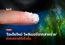 ไอเดียใหม่ โพลิเมอร์จากสาหร่าย ย่อยสลายได้เร็วขึ้น