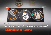 ทำสำเร็จ สิงคโปร์วิจัยหนอนยักษ์ ใช้ลำไส้เทียมย่อยพลาสติก