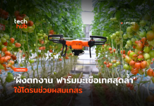 โดรนผสมเกสร