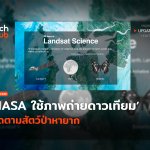 NASA พร้อมช่วย ใช้ภาพถ่ายดาวเทียม ติดตามสัตว์ป่าหายาก-62