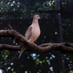 XF16-50mm_Sample images_9 (1)