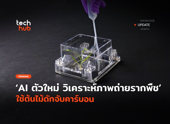 AI ตัวใหม่