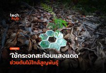 ทางรอดใหม่ ใช้ กระจกสะท้อนแสง แดด ช่วยต้นไม้ใกล้สูญพันธุ์ กระจกสะท้อนแสง