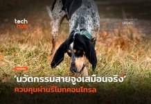 ปลอกคอสุดล้ำ นวัตกรรมสายจูงเสมือนจริง ควบคุมผ่านรีโมทคอนโทรล ปลอกคอสุดล้ำ