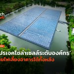 ทดสอบแล้ว โปรเจคโซล่าเซลล์_ระดับองค์กร จ่ายไฟเลี้ยงอาคารได้ทั้งหลัง-10 (1)