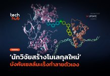 จงตุยซะ !! นักวิจัยสแตนฟอร์ดพัฒนาโมเลกุลใหม่ให้ เซลล์มะเร็ง ฆ่าตัวตายเอง เซลล์มะเร็ง