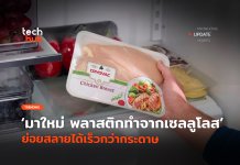 มาใหม่ พลาสติกทำจากเซลลูโลส ย่อยสลายได้เร็วกว่ากระดาษ