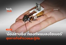 น้องสาบสายซิ่ง กองทัพ แมลงสาบไซเบอร์ ลุยภารกิจสำรวจและกู้ภัย แมลงสาบไซเบอร์