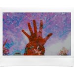 Film Style instax WIDE Evo_15