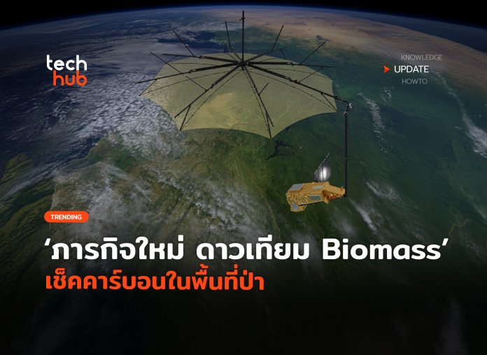 Biomass