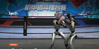 Robot Fight