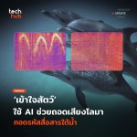 เข้าใจสัตว์ ใช้ AI ช่วยถอดเสียงโลมา ถอดรหัสสื่อสารใต้น้ำ-43