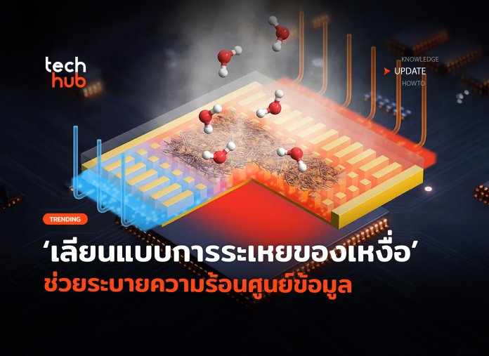 ระบายความร้อนศูนย์ข้อมูล