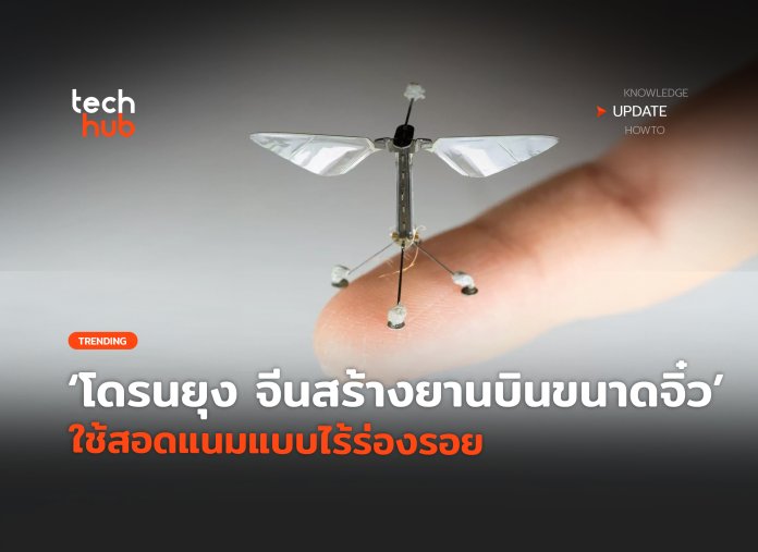 โดรนขนาดจิ๋ว