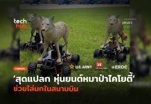 หุ่นยนต์หมาป่าไคโยตี้