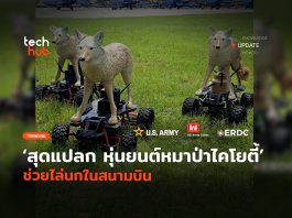 หุ่นยนต์หมาป่าไคโยตี้