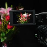 09_FUJIFILM GFX ETERNA 55_0