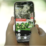 AR Forest 2