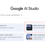 Google AI Studio 2