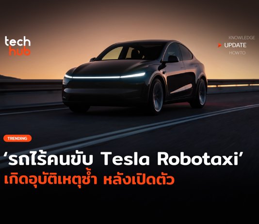 Tesla Robotaxi