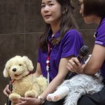หุ่นยนต์สัตว์เลี้ยงบำบัด Joy for All _0