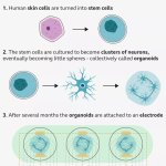 2025-10-06-image-32-j