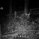videoframe_58828 (1)