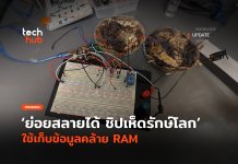 ชิปเห็ด