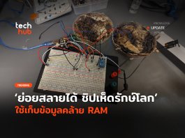 เปิดตัว ชิปเห็ด ทำหน้าที่เก็บข้อมูลคล้าย RAM รักษ์โลก ย่อยสลายเองได้ ชิปเห็ด