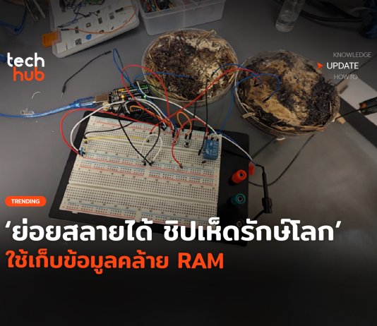 เปิดตัว ชิปเห็ด ทำหน้าที่เก็บข้อมูลคล้าย RAM รักษ์โลก ย่อยสลายเองได้ ชิปเห็ด