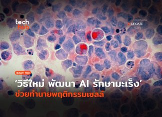 สุดล้ำ เมื่อ AI เข้าใจภาษาเซลล์ ค้นพบวิธีใหม่ในการรักษามะเร็ง AI เข้าใจภาษาเซลล์