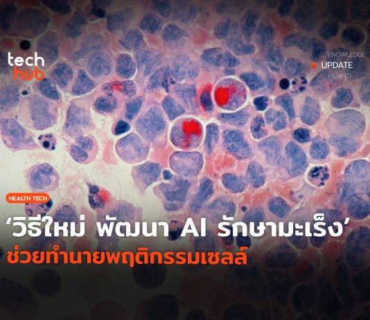 AI เข้าใจภาษาเซลล์
