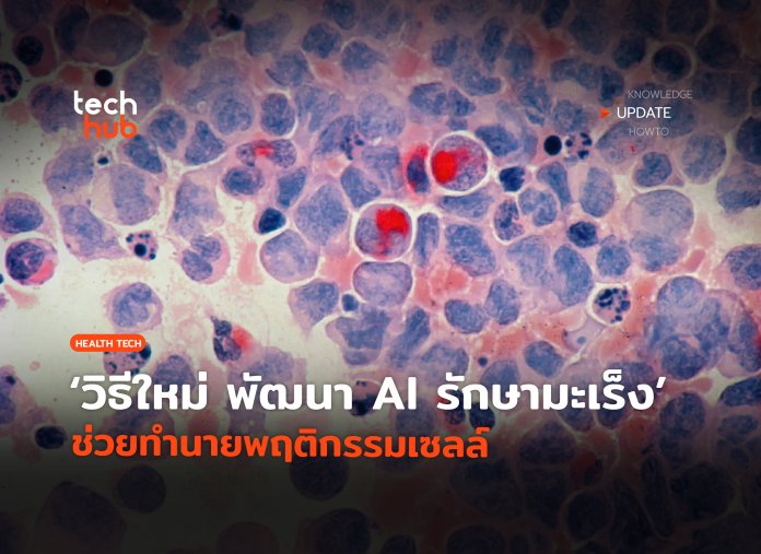 AI เข้าใจภาษาเซลล์