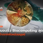 สมองจิ๋ว Biocomputing สุดล้ำ สร้างจากผิวหนังมนุษย์-58