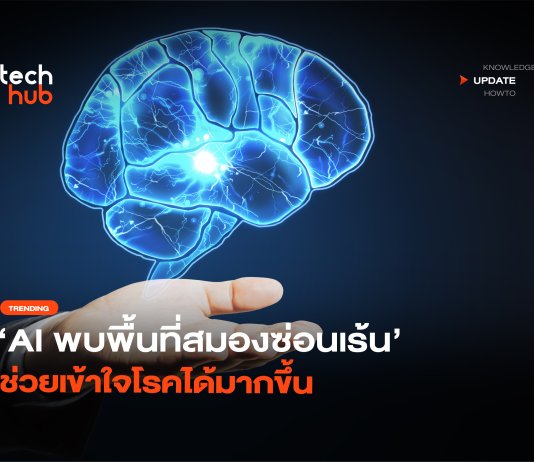AI พลิกวงการ พบ พื้นที่สมองซ่อนเร้น ช่วยเข้าใจโรคได้มากขึ้น พื้นที่สมองซ่อนเร้น