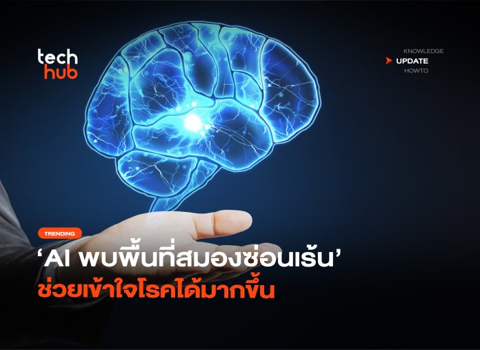 AI พลิกวงการ พบพื้นที่สมองซ่อนเร้น ช่วยเข้าใจโรคได้มากขึ้น-20 พื้นที่สมองซ่อนเร้น