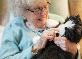 ปฏิวัติวงการแคร์เทค หุ่นยนต์สัตว์เลี้ยงบำบัด “Joy for All” ขายไทยที่แรกในเอเชีย เทคโนโลยีแก้เหงาที่งานวิจัยรับรอง ยกระดับสังคมสูงวัย