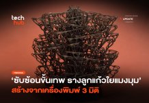 ซับซ้อนขั้นเทพ รางลูกแก้ว ใยแมงมุม สร้างจากเครื่องพิมพ์ 3 มิติ รางลูกแก้ว